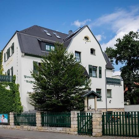 Villa Angelika 드레스덴 외부 사진